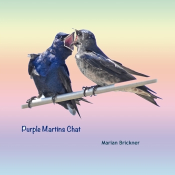 Paperback Purple Martins Chat Book