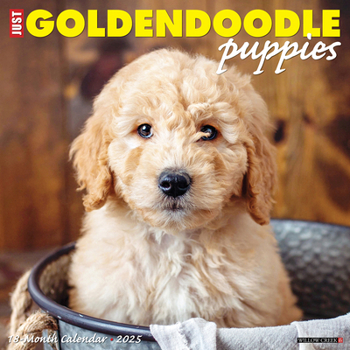 Calendar Just Goldendoodle Puppies 2025 12 X 12 Wall Calendar Book