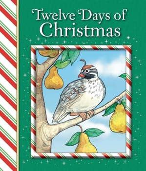 Hardcover Twelve Days of Christmas Book