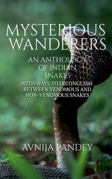 Paperback Mysterious Wanderers Book