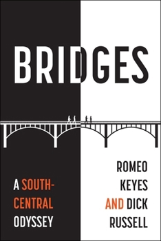 Hardcover Bridges: A South-Central Odyssey Book