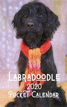 Labradoodle 2020 Pocket Calendar: Mini Daily Weekly Monthly Yearly Planner for Labradoodle Owner Lovers