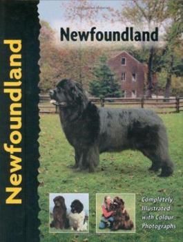 Hardcover Newfoundland (Pet Love) Book