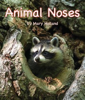Paperback Animal Noses Book