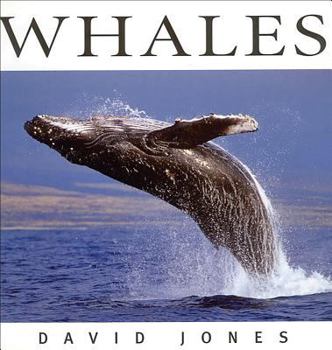 Hardcover Whales Book