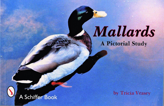 Paperback Mallards: A Pictorial Study Book