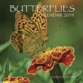 Paperback Butterflies Calendar 2019: 16 Month Calendar Book