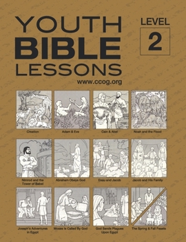 Paperback Youth Bible Lessons Level 2 Book