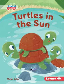 Library Binding Turtles in the Sun Book