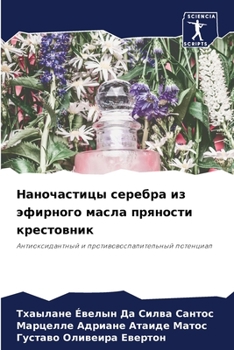 Paperback Наночастицы серебра из э [Russian] Book