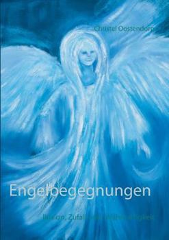 Paperback Engelbegegnungen: lllusion, Zufall oder Wahrhaftigkeit [German] Book