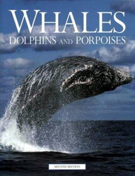 Hardcover Whales, Dolphins and Porpoises Book
