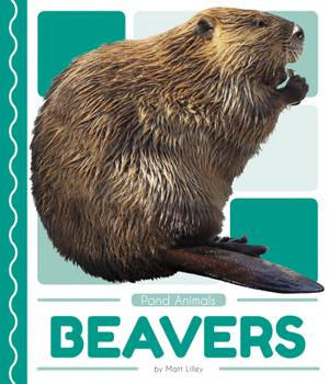 Beavers - Book  of the Pond Animals