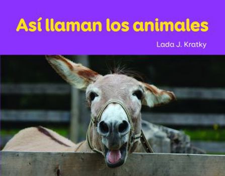 Que Veo En Un Arbol?