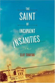 Hardcover The Saint of Incipient Insanities Book