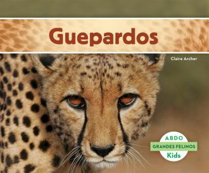 Library Binding Guepardos (Cheetahs) [Spanish] Book