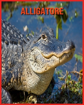 Alligatore: Foto stupende e fatti divertenti Libro sui Alligatore per bambini