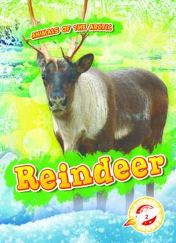 Reindeer - Book  of the Animals of the Arctic
