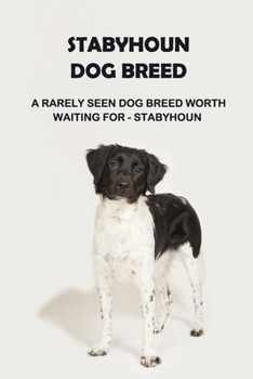 Paperback Stabyhoun Dog Breed: A Rarely Seen Dog Breed Worth Waiting for - Stabyhoun: Stabyhoun Dog Breed Information, Photos, Traits and Facts Book