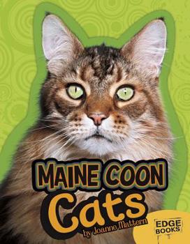 The Maine Coon Cat - Book  of the Learning about Cats