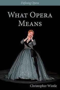Hardcover What Opera Means: Categories and Case-Studies Book