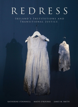 Paperback Redress: Ireland's Institutions and Transitional Justice Book