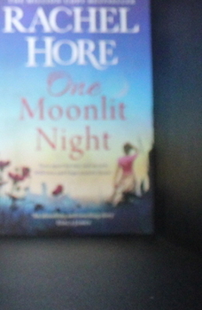 Paperback One Moonlit Night Book