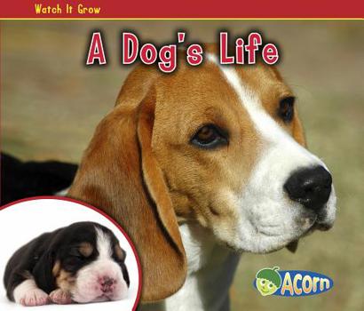 Watch It Grow - A Dog's Life - Book  of the ¡Mira Cómo Crece!