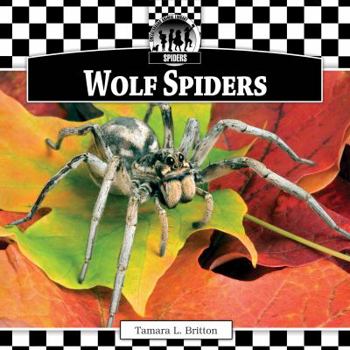 Library Binding Wolf Spiders Book