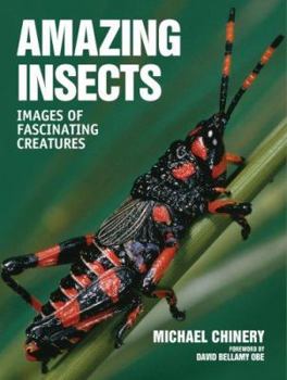 Paperback Amazing Insects: Images of Fascinating Creatures Book