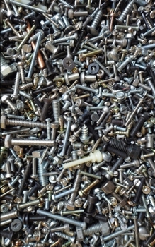 Paperback Dreams of Nineteen Book