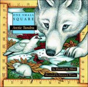 Arctic Tundra - Book  of the One Small Square