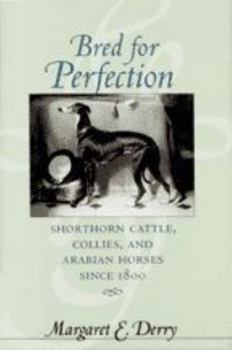 Hardcover Bred for Perfection: Shorthorn Cattle, Collies, and Arabian Horses Since 1800 Book