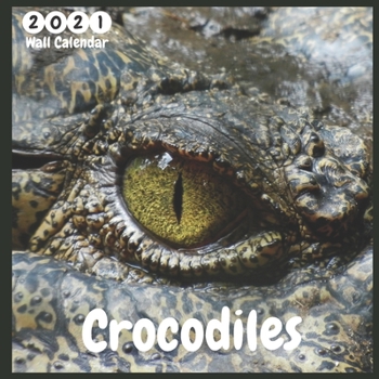 Paperback Crocodiles 2021 Wall Calendar: Ofifcial Crocodiles Calendar 2021, 12 Months, Crocodile Lovers Calendar Book