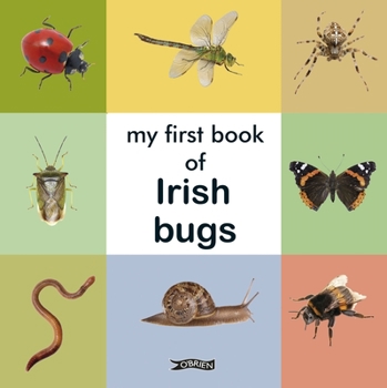Hardcover My First Book of Irish Bugs Book
