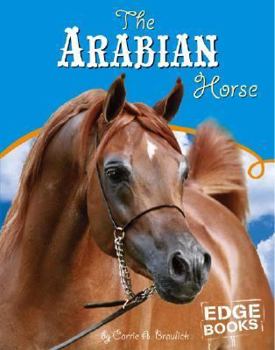 Hardcover The Arabian Horse Book