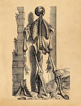 Anatomy Notebook: Andreas Vesalius - Skinless Man Muscles 08 - Premium College Ruled Notebook 110 Pages