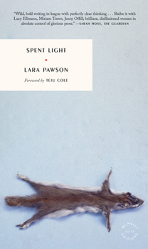 Paperback Spent Light Book