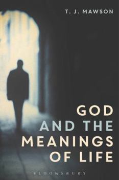 Paperback God and the Meanings of Life: What God Could and Couldn't Do to Make Our Lives More Meaningful Book