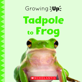 Paperback Tadpole to Frog (Growing Up) Book