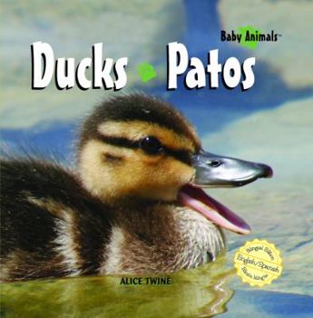 Library Binding Ducks / Patos Book