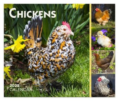 Calendar Chickens 2025 6 X 5 Inch Daily Desktop Box Calendar New Page Every Day Book