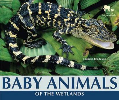 Paperback Baby Animals of the Wetlands Book