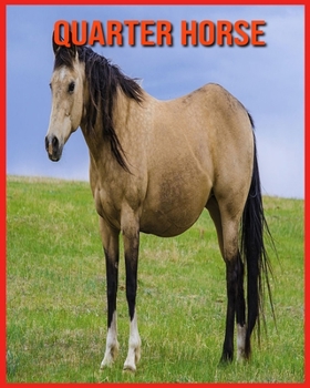 Paperback Quarter Horse: Photos Etonnantes & Recueil d'Informations Amusantes Concernant les Quarter Horse pour Enfants [French] Book