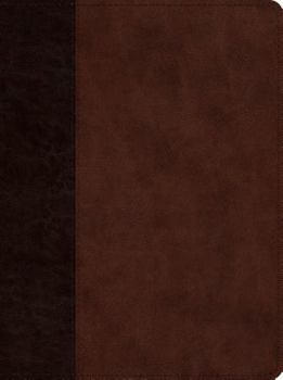 Imitation Leather ESV Proverbs: Daily Wisdom (Trutone, Brown/Walnut, Timeless Design) Book