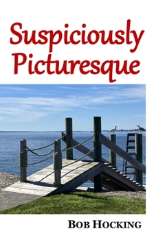 Paperback Suspiciously Picturesque Book