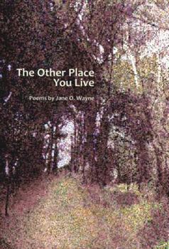 Paperback The Other Place You Live Book