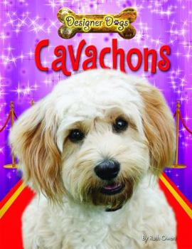 Paperback Cavachons Book