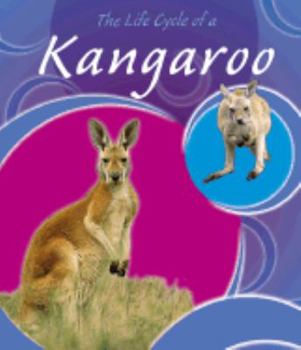 Library Binding The Life Cycle of a Kangaroo Book