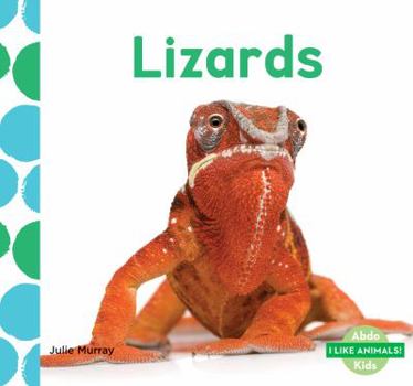 Lizards - Book  of the Animal Kingdom